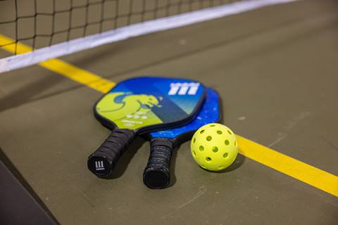 pickleball paddles 
