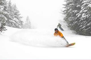2 snowboarders in powder 