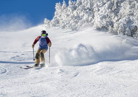 Powder skier 