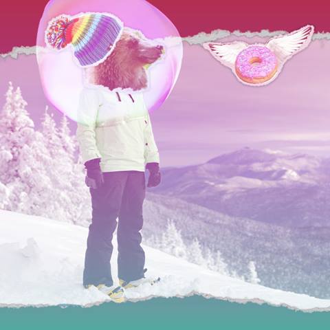 Mamma Bear with flying donut on a snowboard