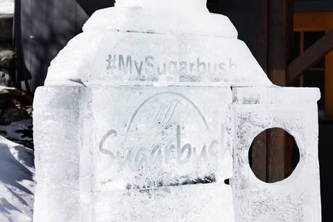 sugarbush logo carved into ice