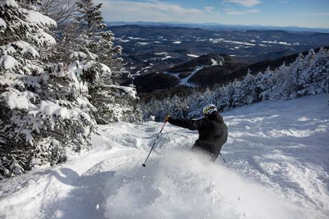 Powder skier in black jacket with a scenic view