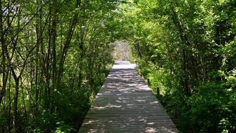 Mad River Valley Trail