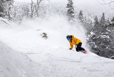 snowboarder blowing through powder 