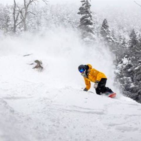 POW surfer