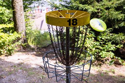 Disc in basket