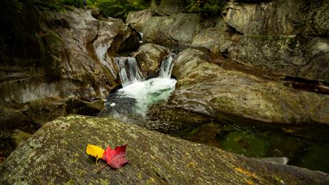 A scenic fall shot in the Mad River Valley