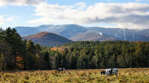 A scenic fall shot in the Mad River Valley