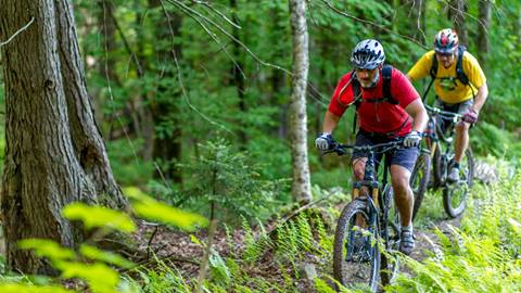 Mountain Bikers biking
