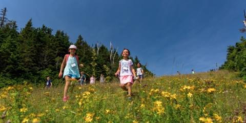Kids hiking on the mountain