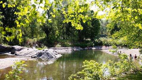 Mad River through summer foliage 