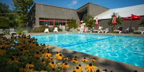 SHARC Outdoor pool in the summer