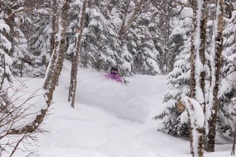 A snowboarder in purple is creating a cloud of powder in between the trees. 