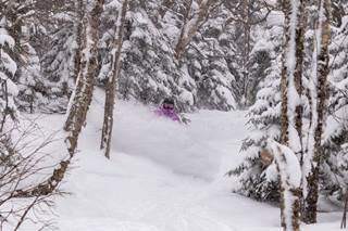A snowboarder in purple is creating a cloud of powder in between the trees. 