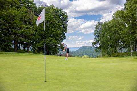 Golfer at the hole 