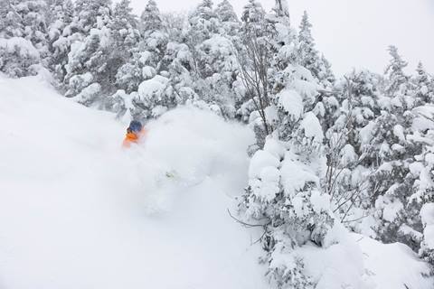 Skier in bright orange jacket in powder