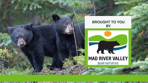 mad river valley bear initiative event photo