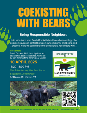 flyer for bear presentation