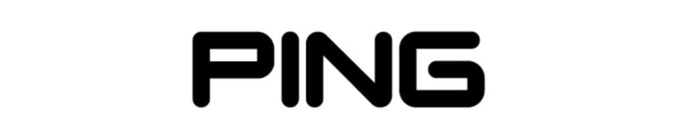 PING LOGO