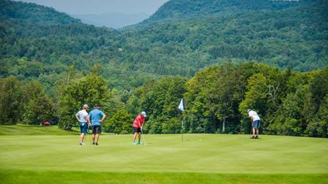 Golfers playing golf