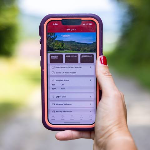 Summer app someone holding a phone