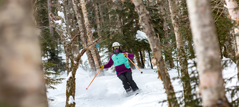 A guy skiing through the woods 