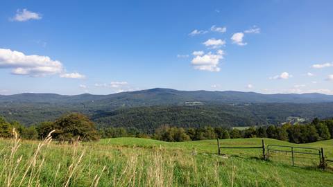 Scenic View