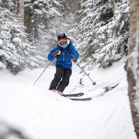 Winter Camps Skier in the trees