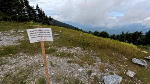 Protected environmental restoration areas at Sugarbush Resort