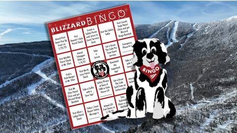 graphic of a bingo card with a cartoon dog on a scenic image of a snowy mountain