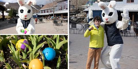collage of easter bunny and eggs at sugarbush on easter day