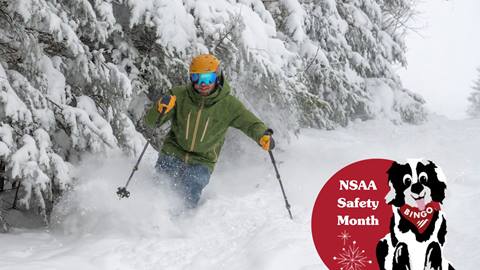 skier rides through powder along tree line