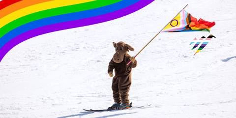 murphy moose skiing with pride flag