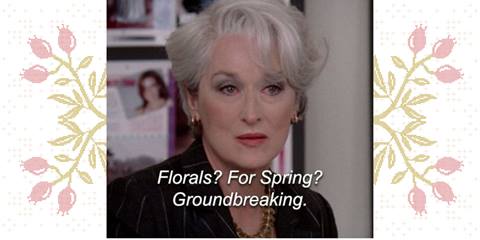 meryl streep devil wears prada meme