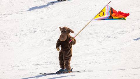 Murphy Moose skiing with a pride flag