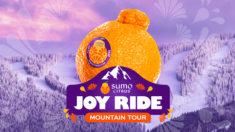 a giant sumo orange overlayed on a winter mountain background
