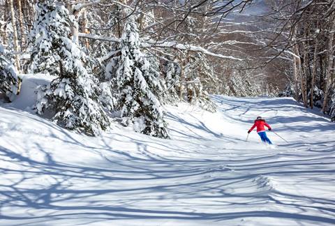 Skier at Sugarbush Resort in Vermont on a wide open trial