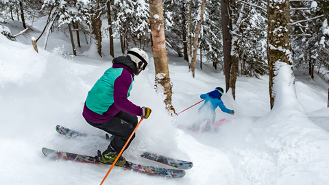 Folks skiing steeps in the woods