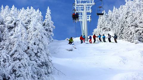 A group of adult skiers on liftline