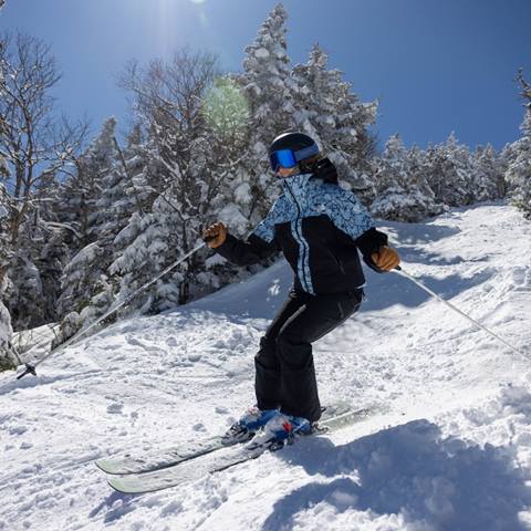 Drone shot of Paradise on a powder day
