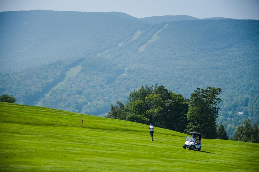 Lone Green Golfer