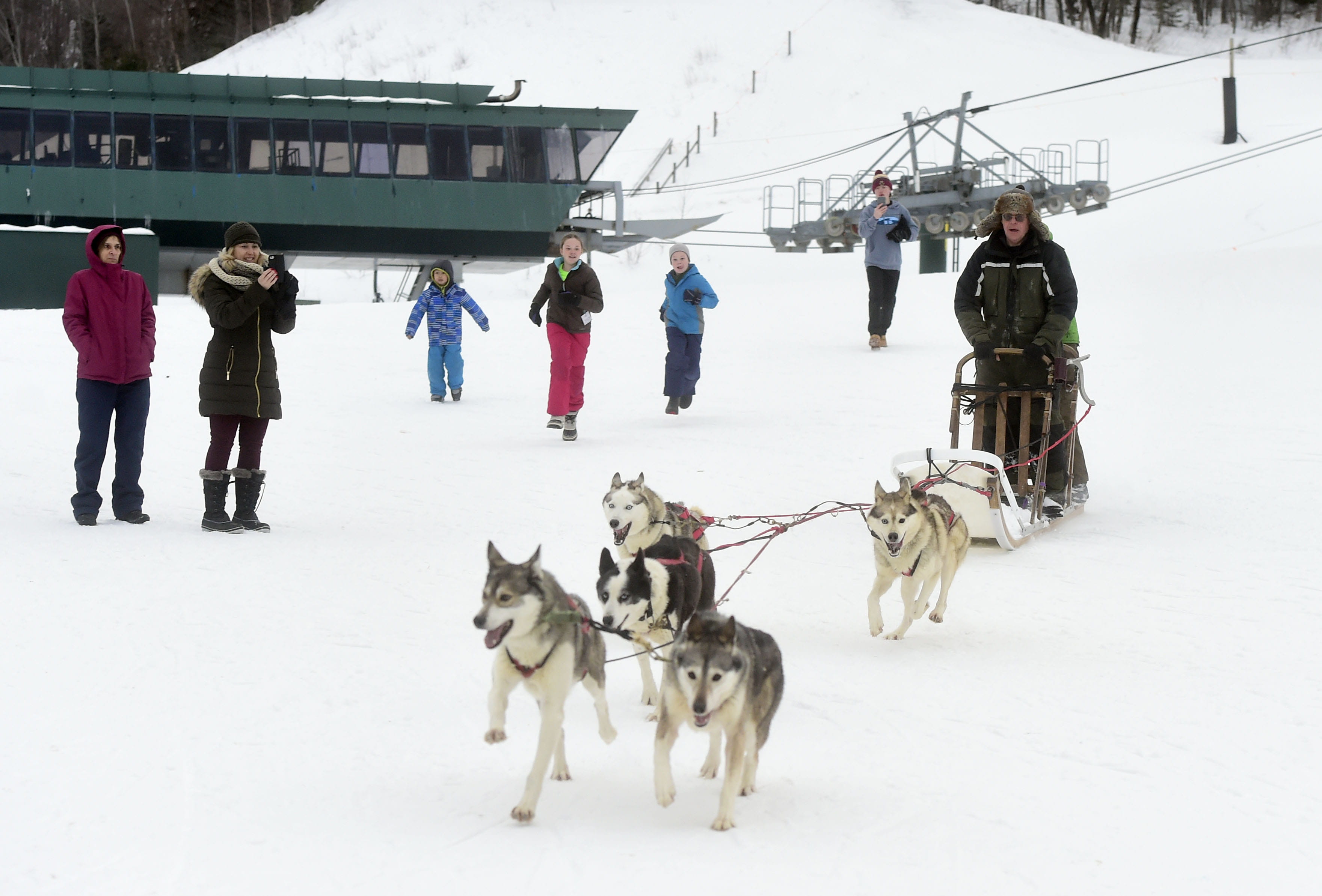 Dog Sledding