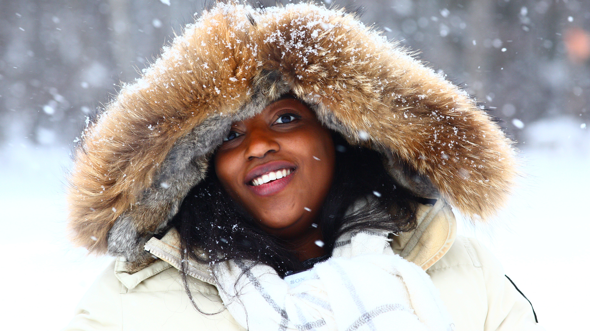 Sugarbush Beauty Shot