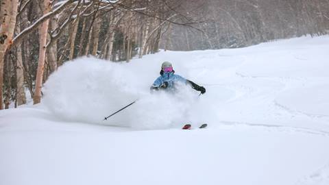 Someone skiing shin deep pow