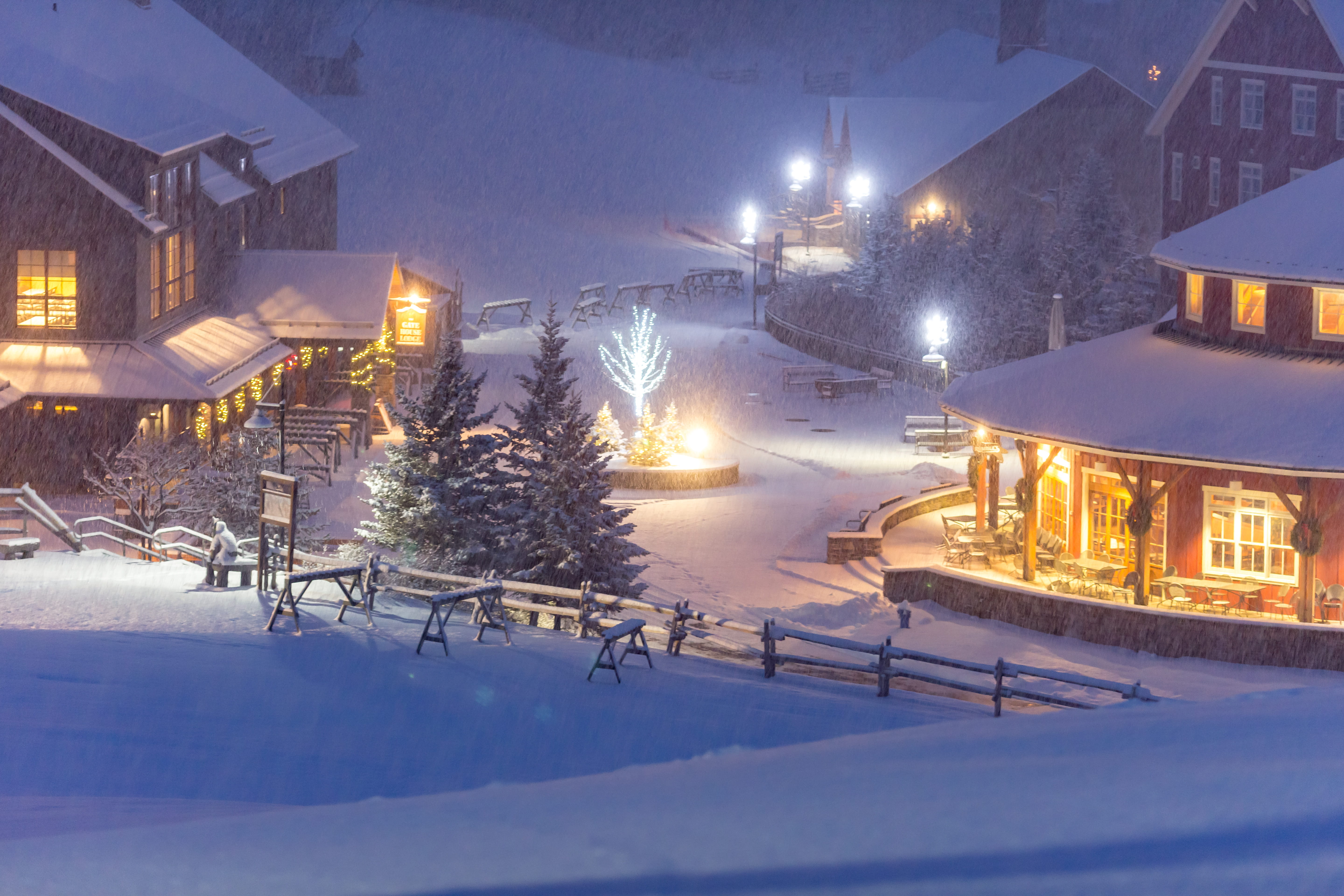 Christmas in the Courtyard