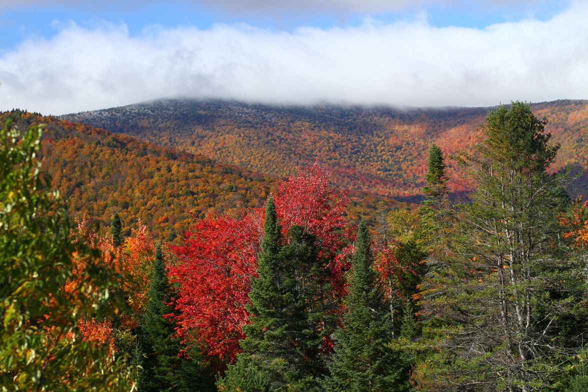 Sugarbush Fall Colors