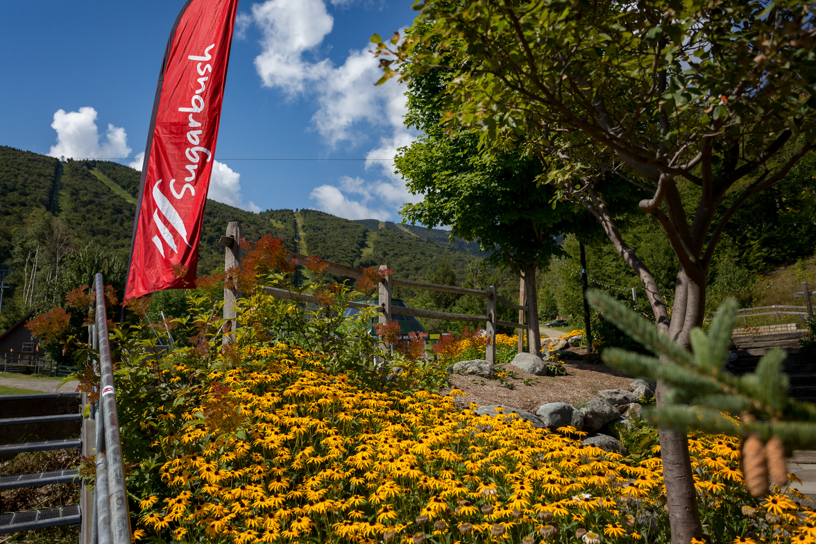 Sugarbush Base Area Fall