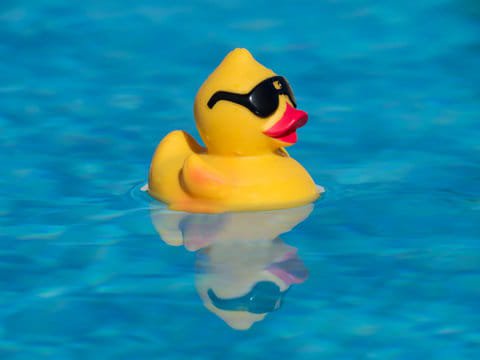 rubber duck with sunglasses floating in pool