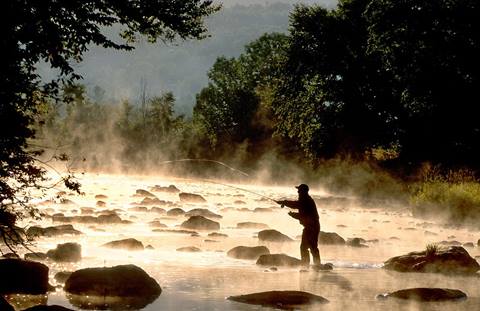 Mad River Fishing
