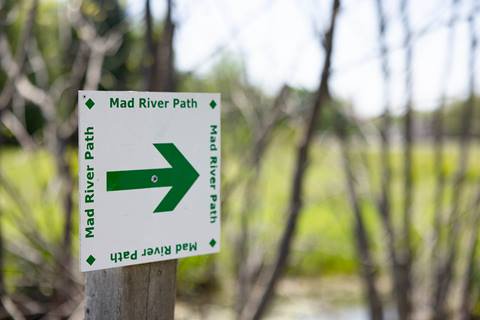 Close up of a arrow trail sign on the mad river path